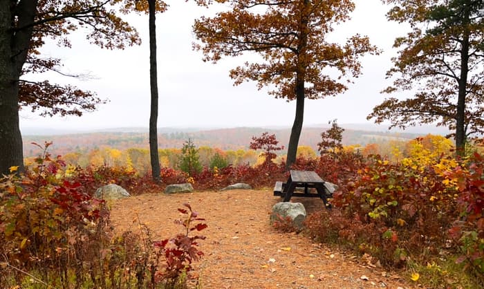 (Credit: Kara Wooldrik)