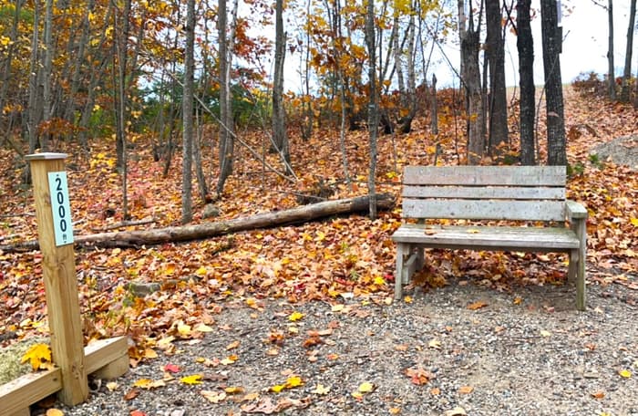 (Credit: Kara Wooldrik)