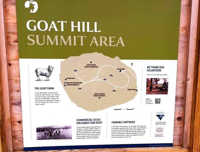 (Credit: Kara Wooldrik)