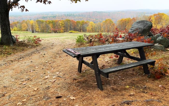 (Credit: Kara Wooldrik)