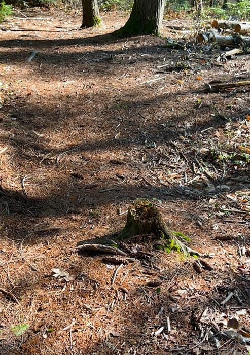 (Credit: Kara Wooldrik)