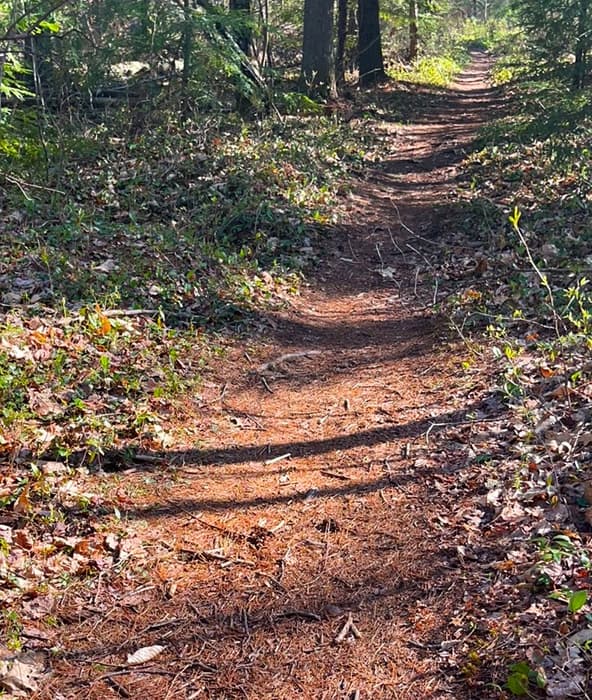 (Credit: Kara Wooldrik)