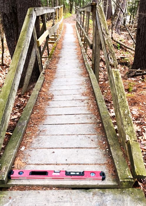 (Credit: Kara Wooldrik)