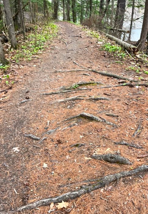 (Credit: Kara Wooldrik)