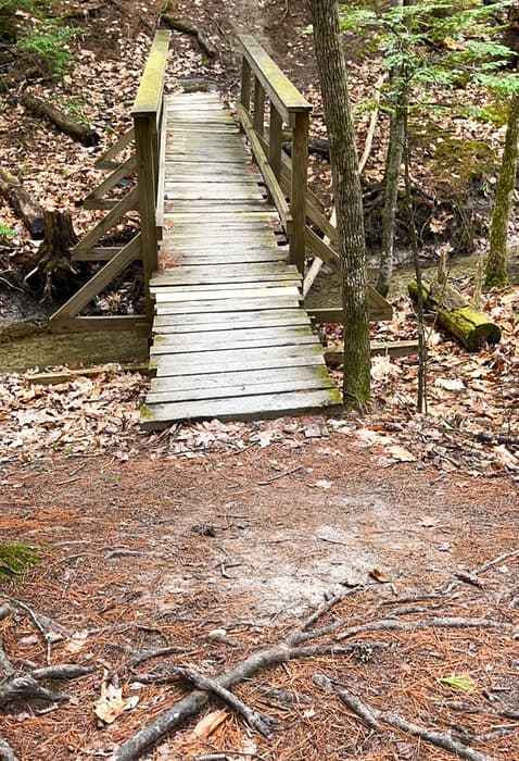 (Credit: Kara Wooldrik)