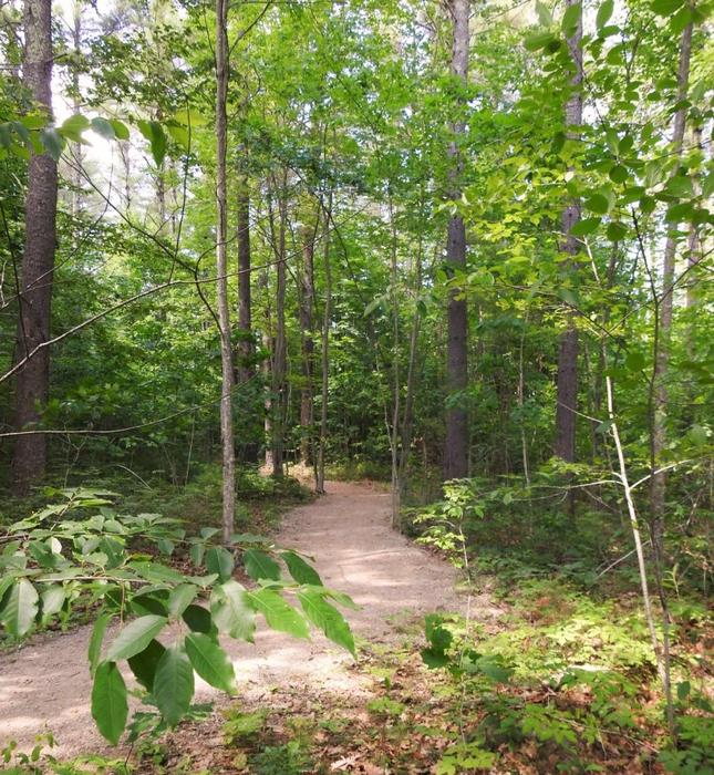 Hope Cemetery & Woods