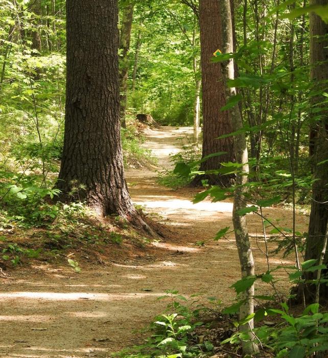 Hope Cemetery & Woods