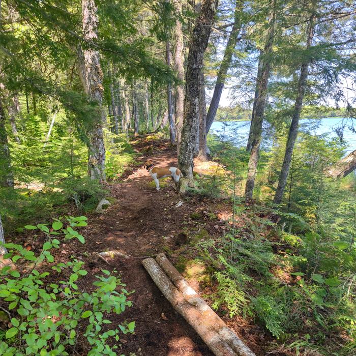 (Credit: Downeast Lakes Land Trust)