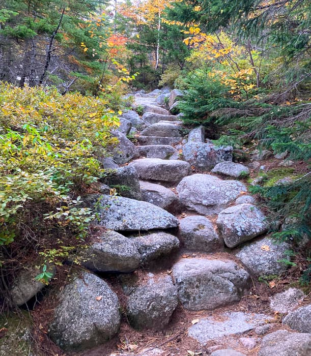 Hunt Trail, below treeline (Credit: BSP)