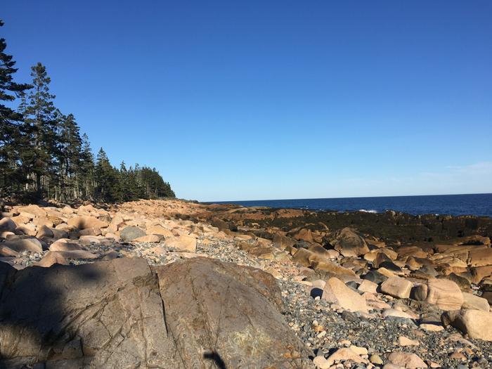 (Credit: Looking east along Great Cranberry's shore)