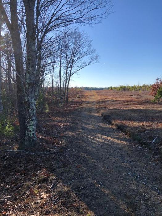 Wells Barrens Preserve