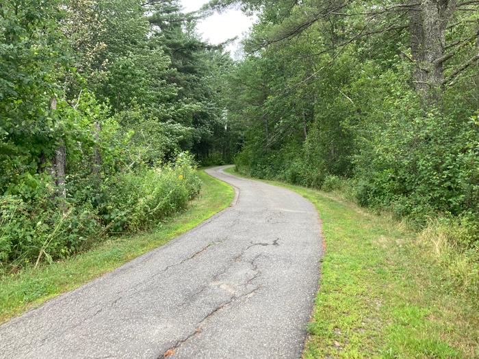 Path heading north from University Farm Road (Credit: CCGIS)