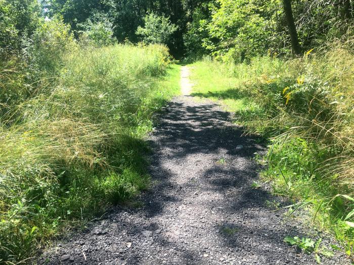 Narrower section near the north trailhead (Credit: Hope Rowan)