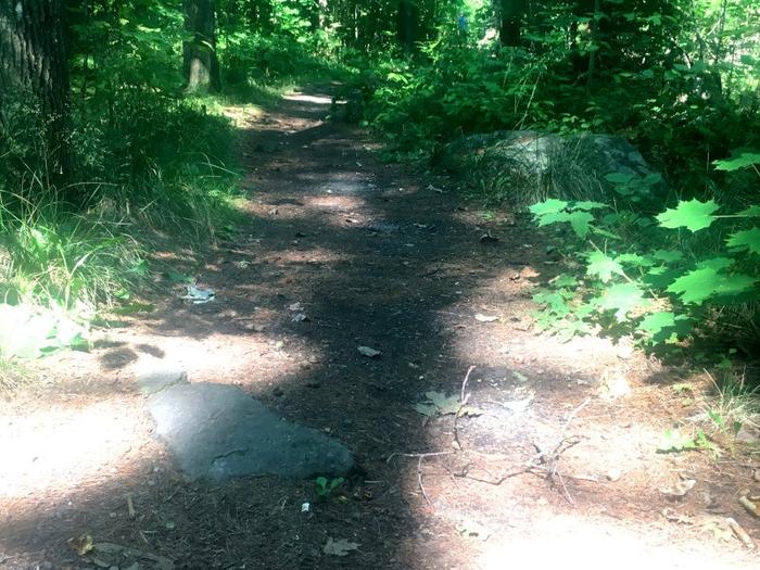 Approaching the parking lot by southern trailhead (middle of parking lot) (Credit: Hope Rowan)