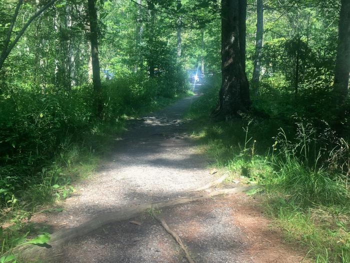 Approaching the parking lot by southern trailhead (middle of parking lot) (Credit: Hope Rowan)