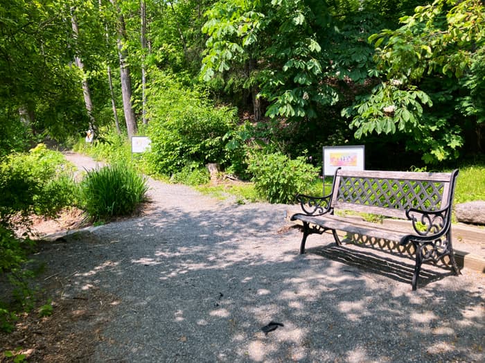 Bench Along Trail (Credit: Hope Rowan)