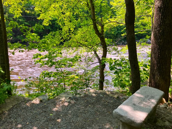 Bench at Overlook (Credit: Hope Rowan)