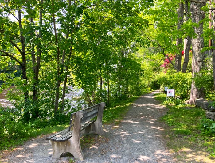 Bench Along Trail (Credit: Hope Rowan)