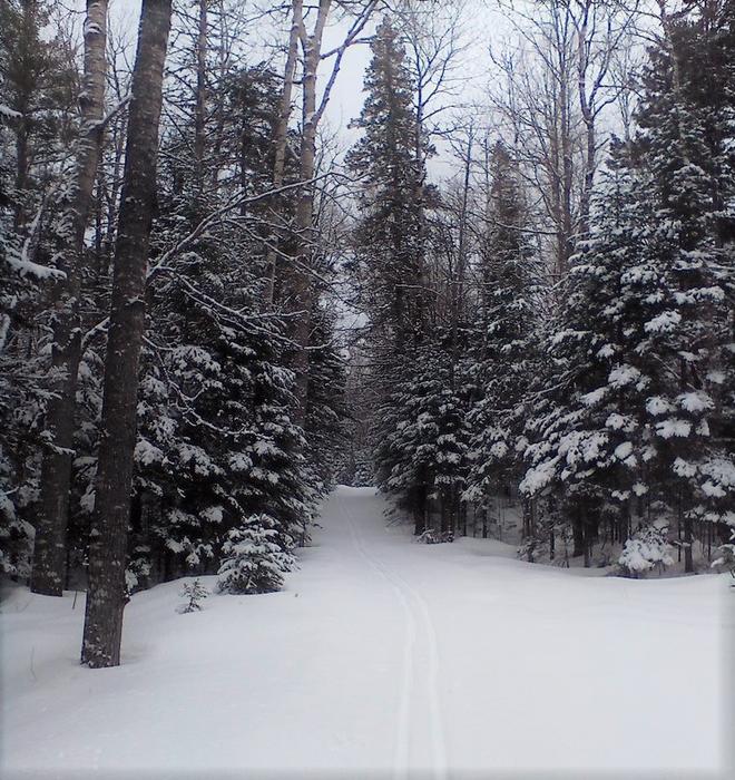 Side trail to Stair Falls (Credit: Maine Trail Finder)