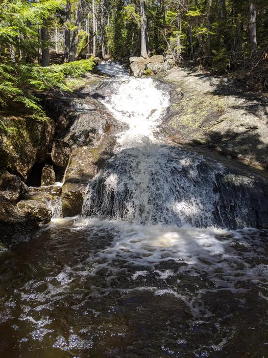 Bingham Cascades Trail (Credit: Gabe Perkins)