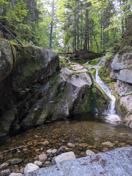 Bingham Cascades Trail (Credit: Gabe Perkins)