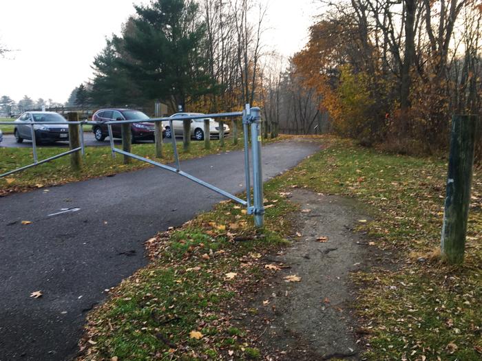 (Credit: Hope Rowan)