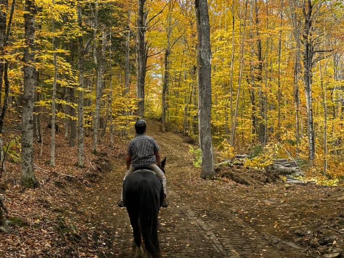 (Credit: Martin Woods Farm)