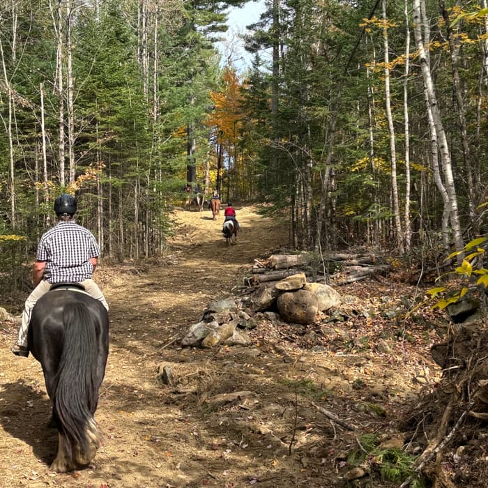 (Credit: Martin Woods Farm)