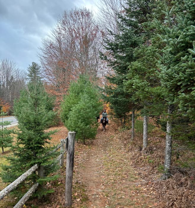 (Credit: Martin Woods Farm)