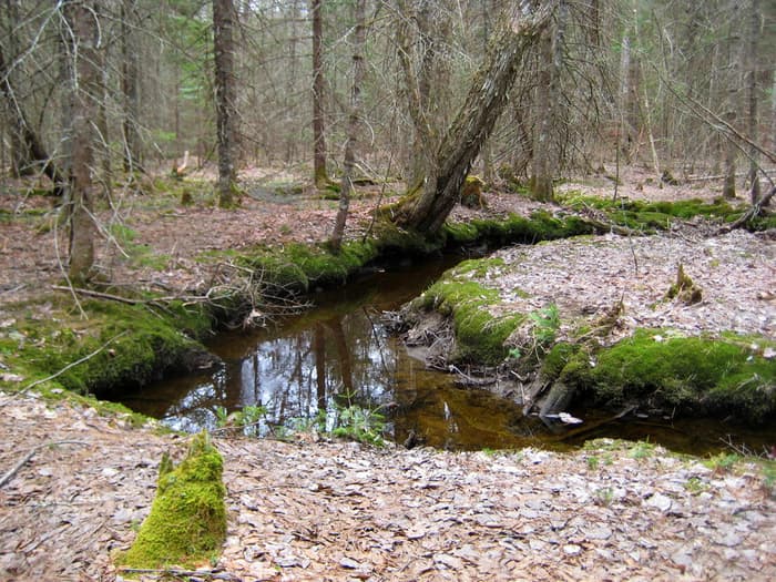 (Credit: Medomak Valley Land Trust)
