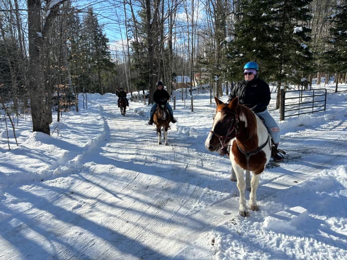 (Credit: Martin Woods Farm)