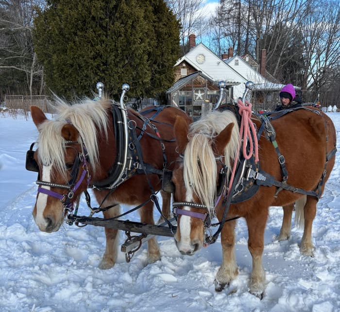 (Credit: Martin Woods Farm)