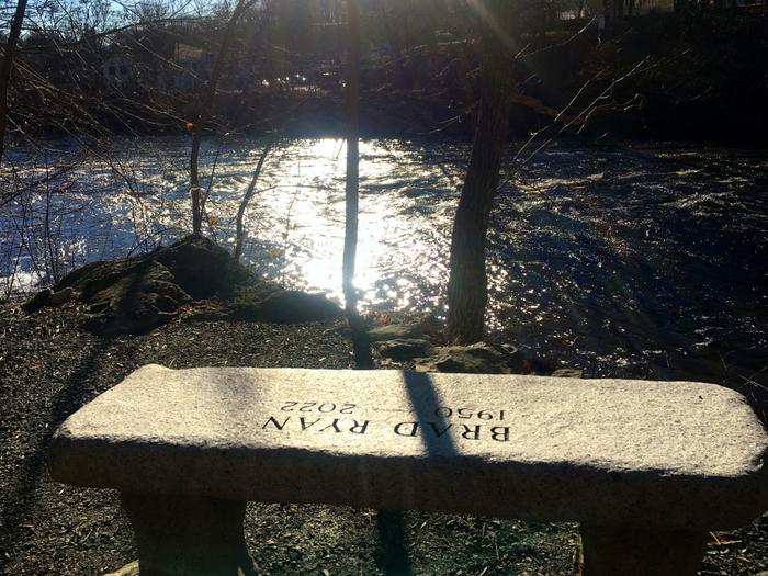 Bench at Overlook (Credit: Hope Rowan)