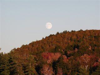 (Credit: Nickerson Lake Wilderness Preservation, Inc.)