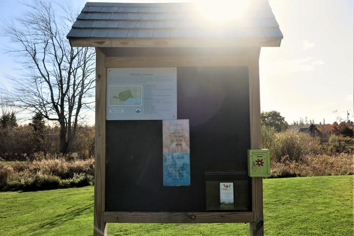 (Credit: Hope Rowan)