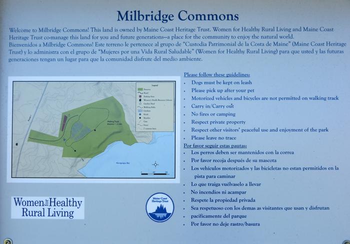 (Credit: Hope Rowan)