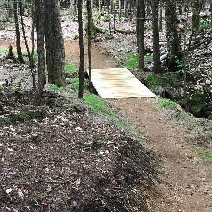 Bethel Village Trails: Summer Trails