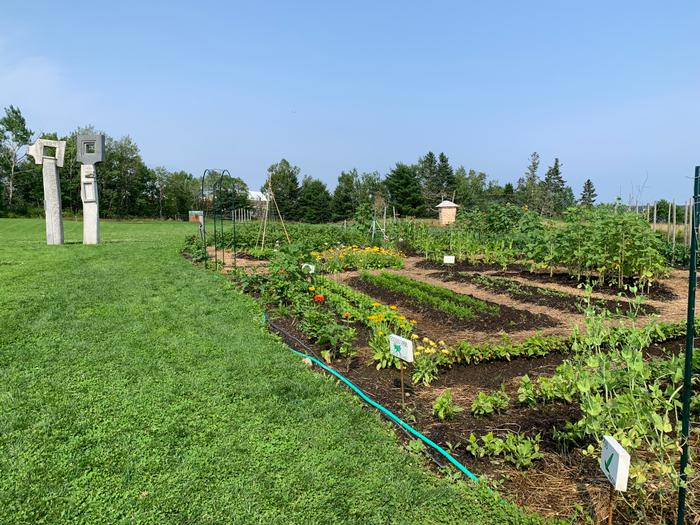 Milbridge Commons Walking Trail