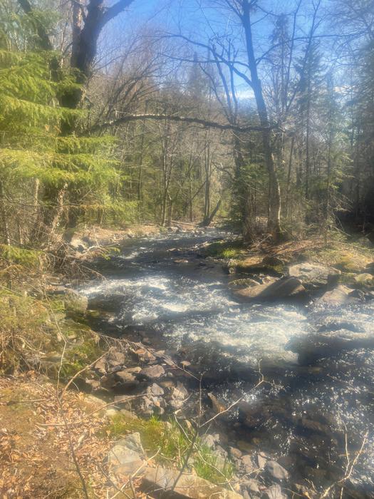 Cold Stream (Credit: Maine BPL)