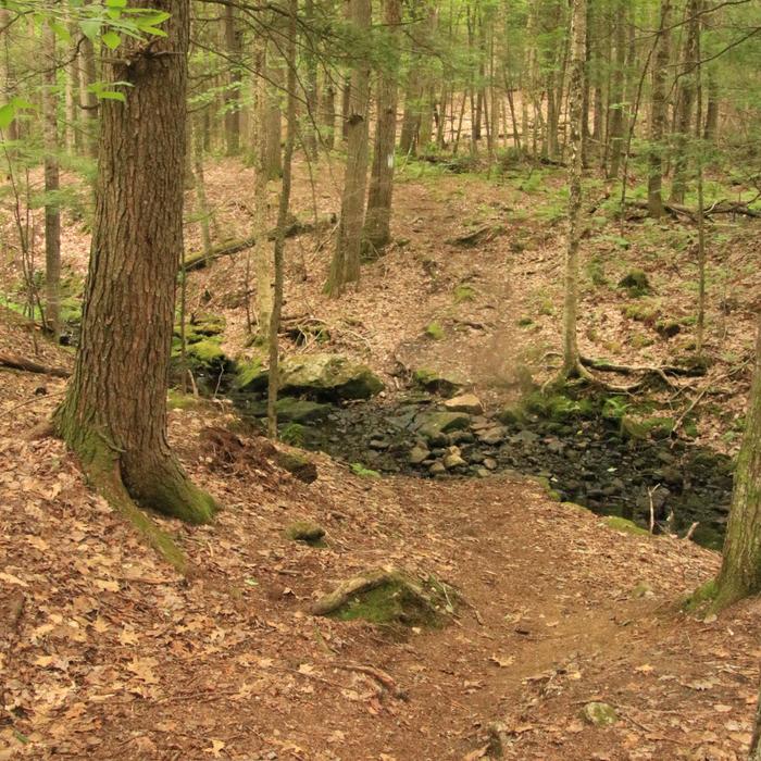 Dry Creek crossing on the blue trail (Credit: Enock Glidden)