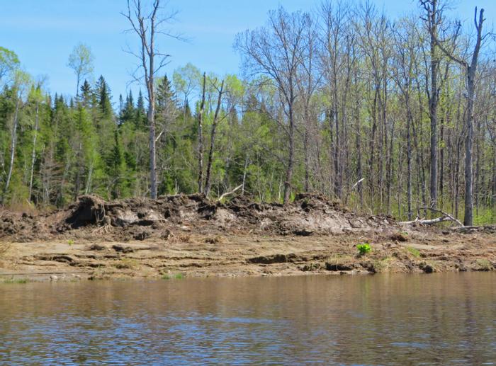 Scoured Bank from Ice Jam (Credit: Bill Sheehan)