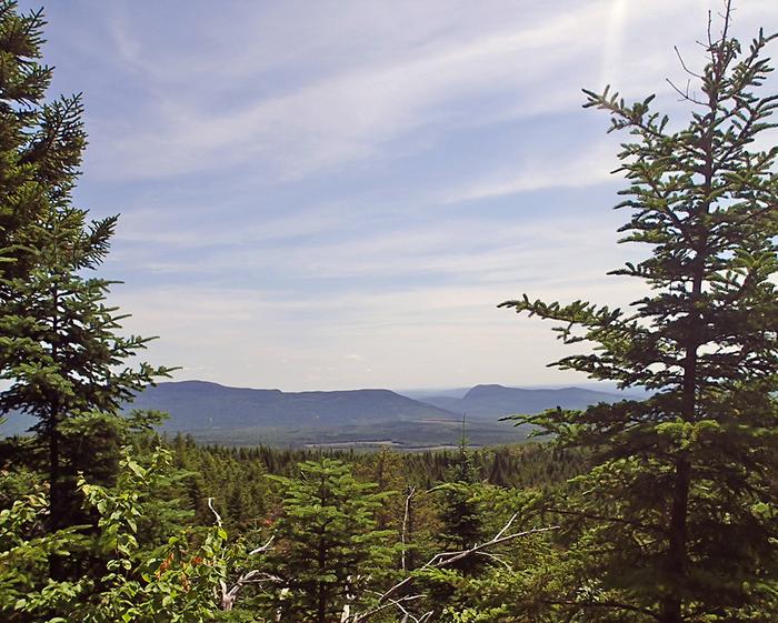 Intervale (Credit: Bureau of Parks and Lands)