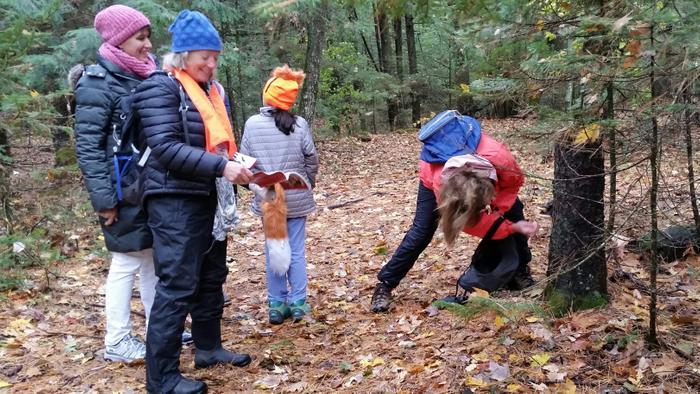 (Credit: Nature walk led by master naturalists)