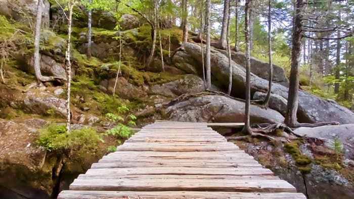 Hunt Trail, bridge over Katahdin Stream (Credit: Hope Rowan)