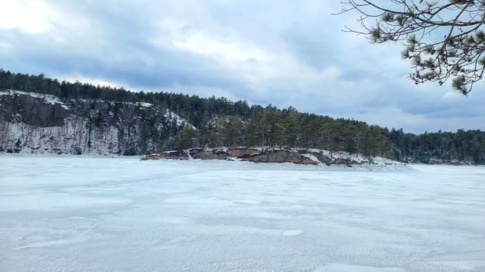 (Credit: Silvia Cassano)