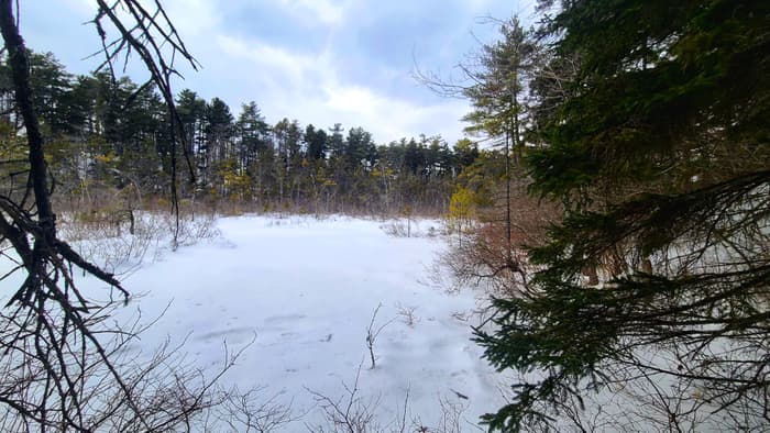 (Credit: Silvia Cassano)