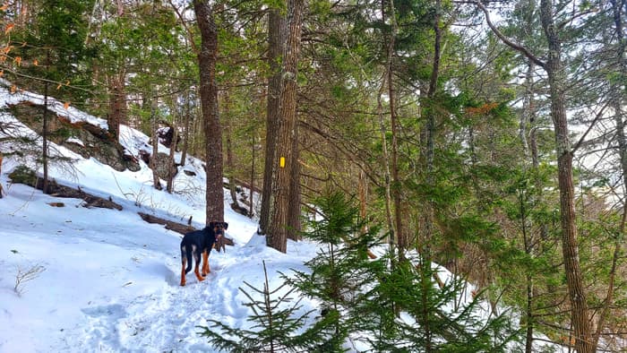 (Credit: Silvia Cassano)