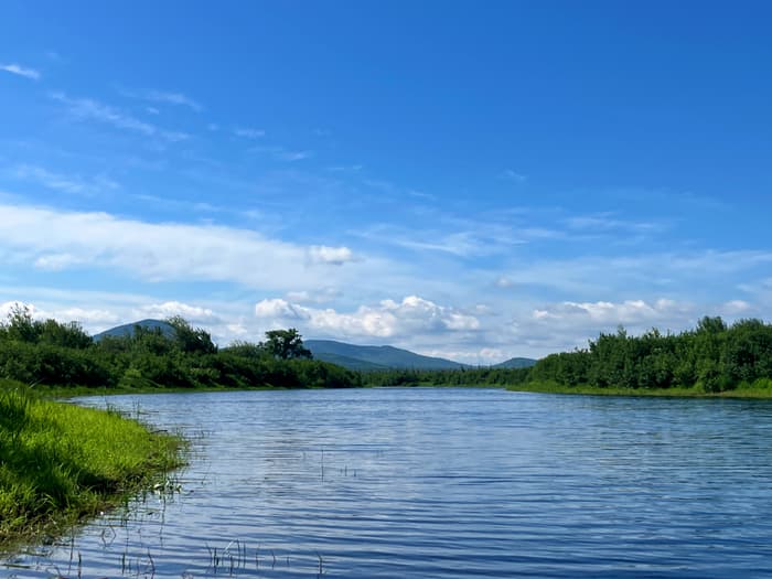 Lobster Stream (Credit: Hope Rowan)