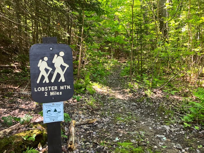 Trailhead (Note: it is actualy 1.5 mi, not 2mi, to the summit viewpoint) (Credit: Hope Rowan)