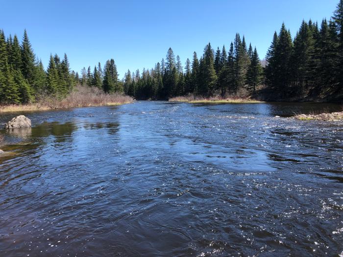 Looking downstream from the put-in (Credit: Zip Kellogg)